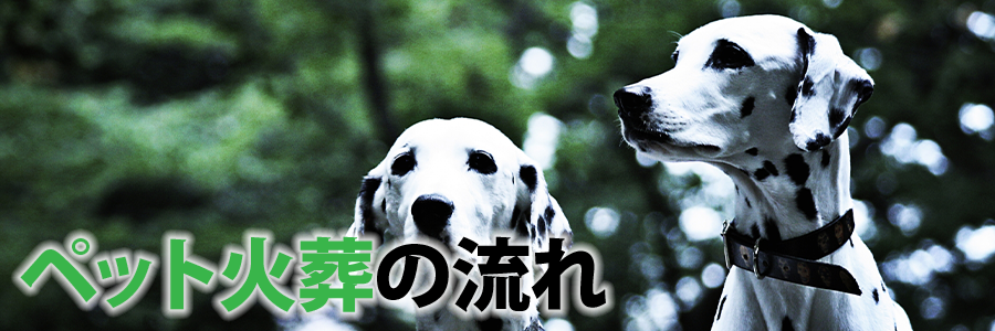 ペット火葬の流れ